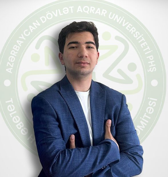 İlkin Məmmədov